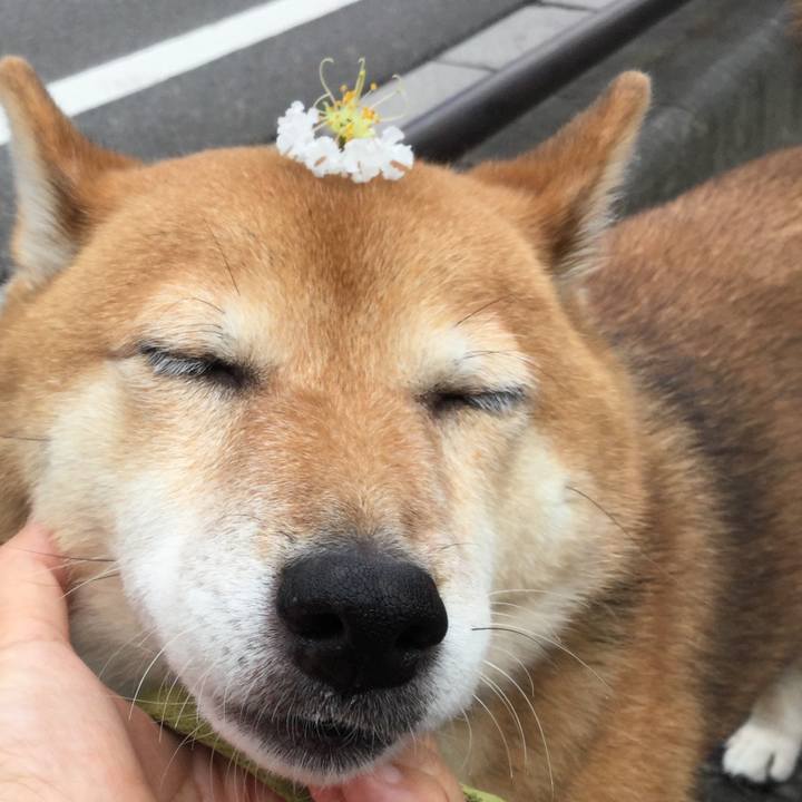 A3d36d64 dac5 4727 b63d cd4a08cc473a 1563501515400