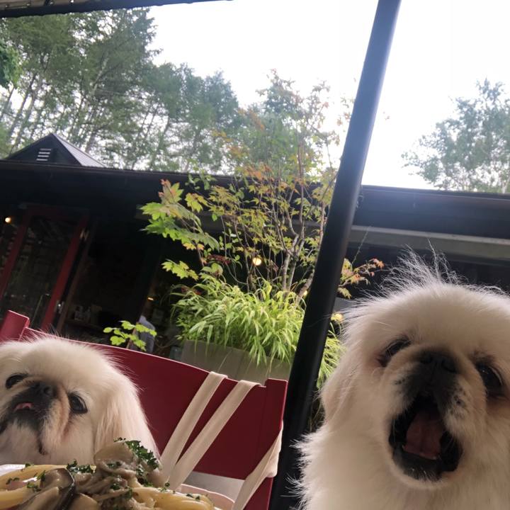 A3d3a9ee 180c 4d3f b538 95f461db51f3 1534763737293