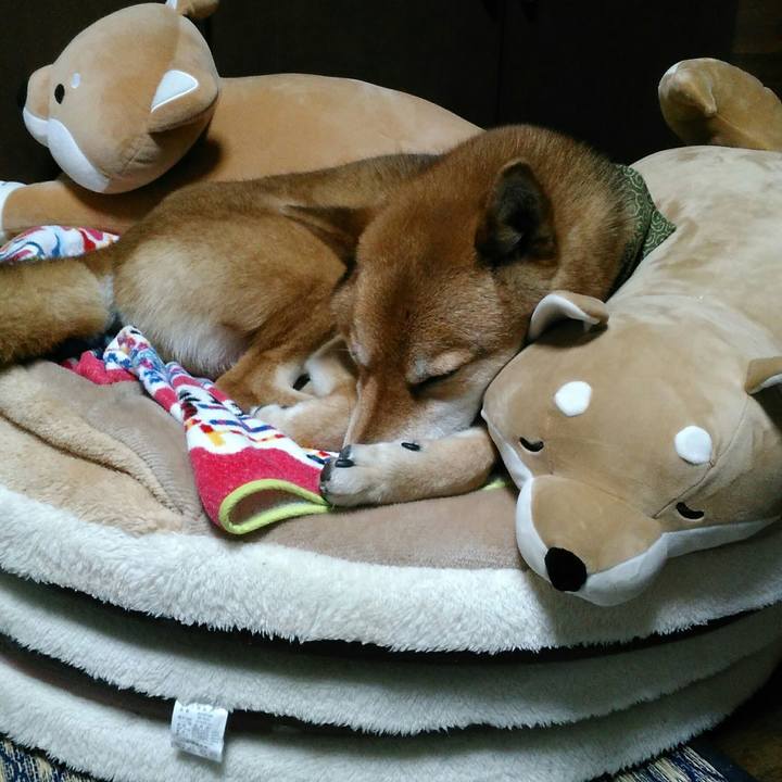 A3d3eb6b cf9f 4c1d aa52 a61ebb655e90 1525093154438