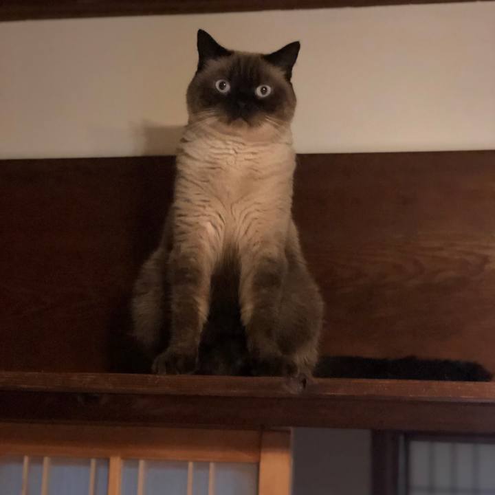 A3d3fe91 657f 4983 9733 bf3dc8a16c8b 1631877408407