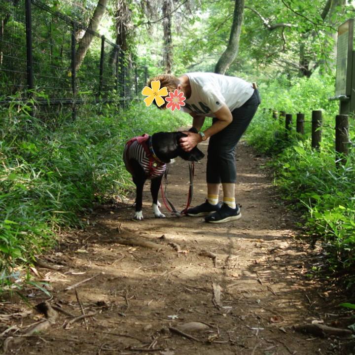 A3d440f6 1f22 43c9 a6a8 4122acffc13a 1688860851842