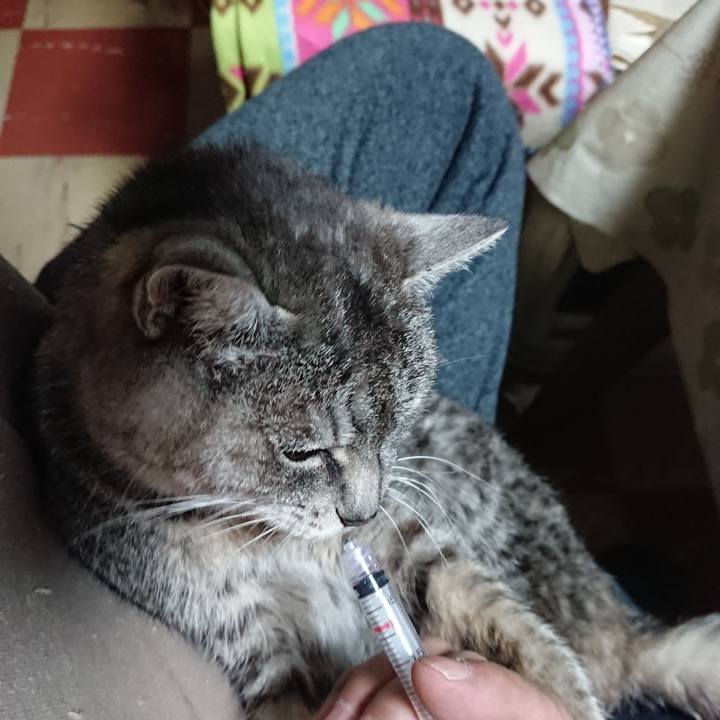 A3d44f23 8f5b 4b5f 815a fcff67060de3 1577746726130