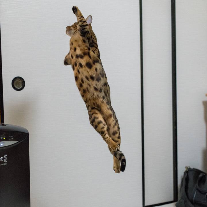 A3d450bc 6b9e 42cc ab10 1b52ff4a055c 1520688077212