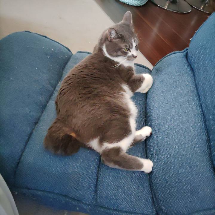 A3d471ff 7aef 4eb5 8d87 2a85efe197c1 1678777730850