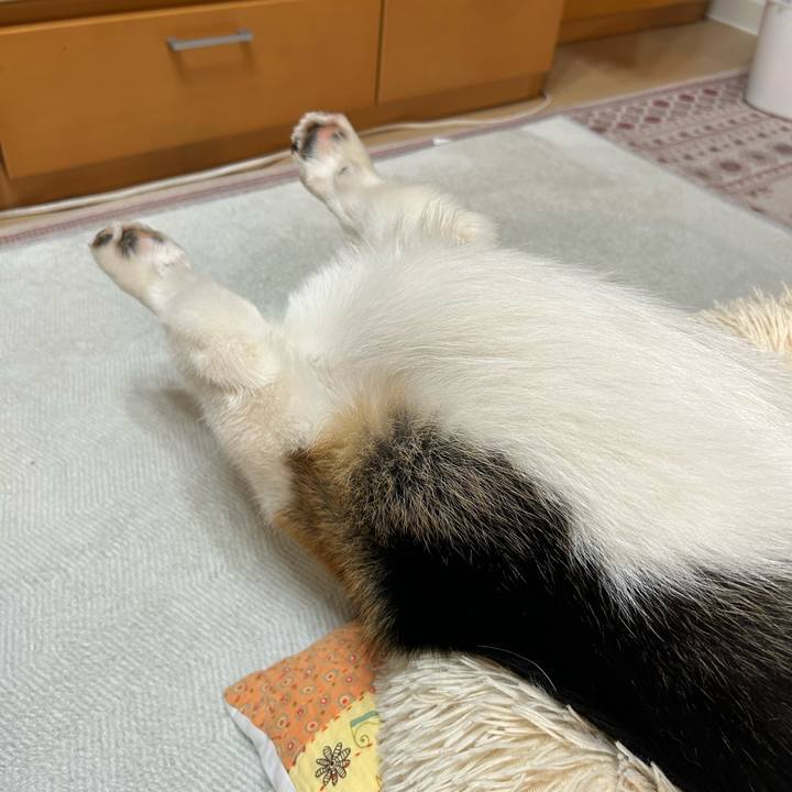 A3d4aae9 fddb 4db5 a110 325deb3b7c86 1772454549587