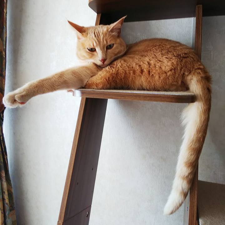 A3d4c53d f09d 4e88 ab8c d4484dc53ed9 1628291244489