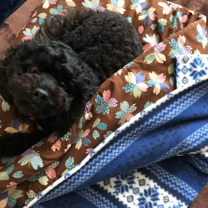 A3d51901 e68f 45dc a5b2 7da610ae68f5 1542270462113