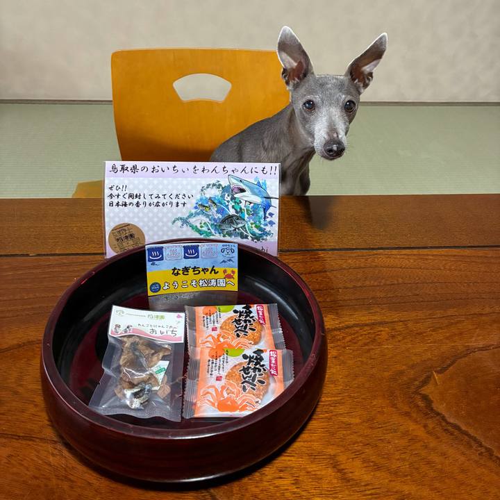 A3d54856 b9a6 4c7a 91d4 bff31218df2b 1771330096043