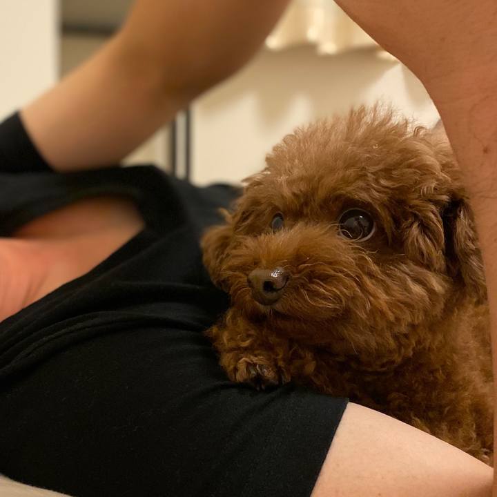 A3d5d427 d385 4ff0 8471 d663e184ffd5 1569990735243