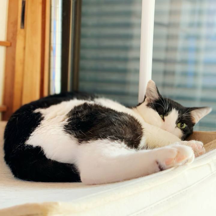 A3d5db4b 8551 4af4 98d2 ce9d9a3d2051 1598234514231