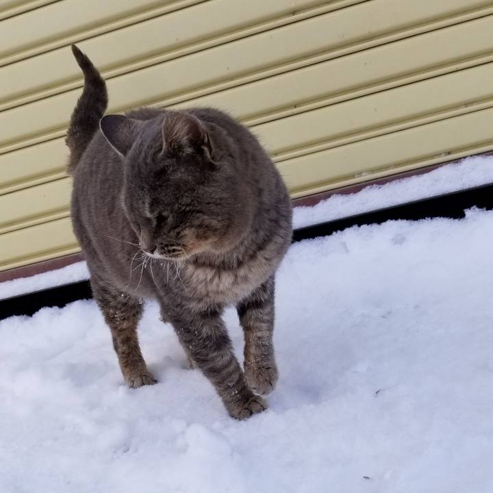 A3d5eaff 5174 4595 b244 7eeb9ef30352 1549493291207