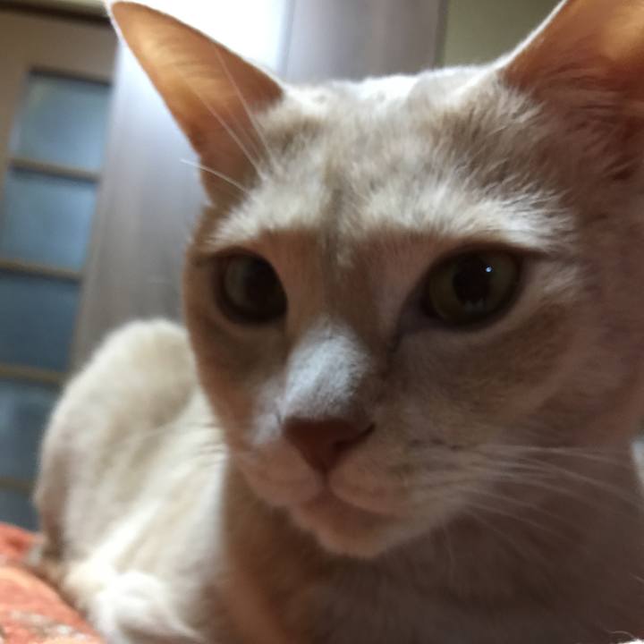 A3d603c0 2726 4c2d 9717 2c9225a814aa 1521286564229