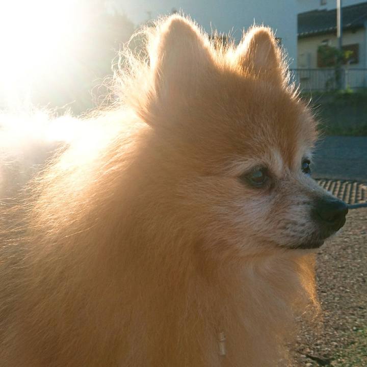 A3d60da7 45d6 4950 8f73 0ebf0b0ab84d 1537654829359