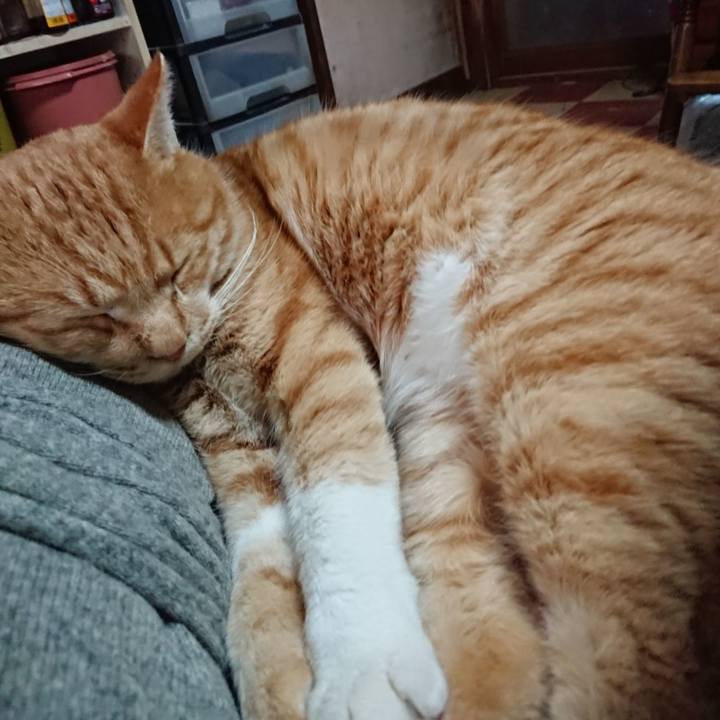 A3d62d28 d629 404a bf3b a8aa90391b77 1576390370994