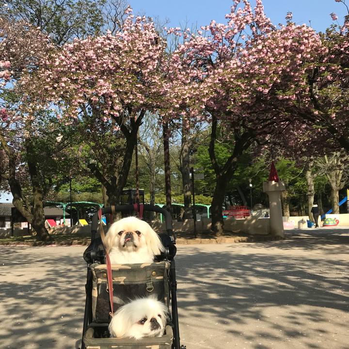 A3d678dd 057e 4b63 9008 6d15f079cc31 1523347984309