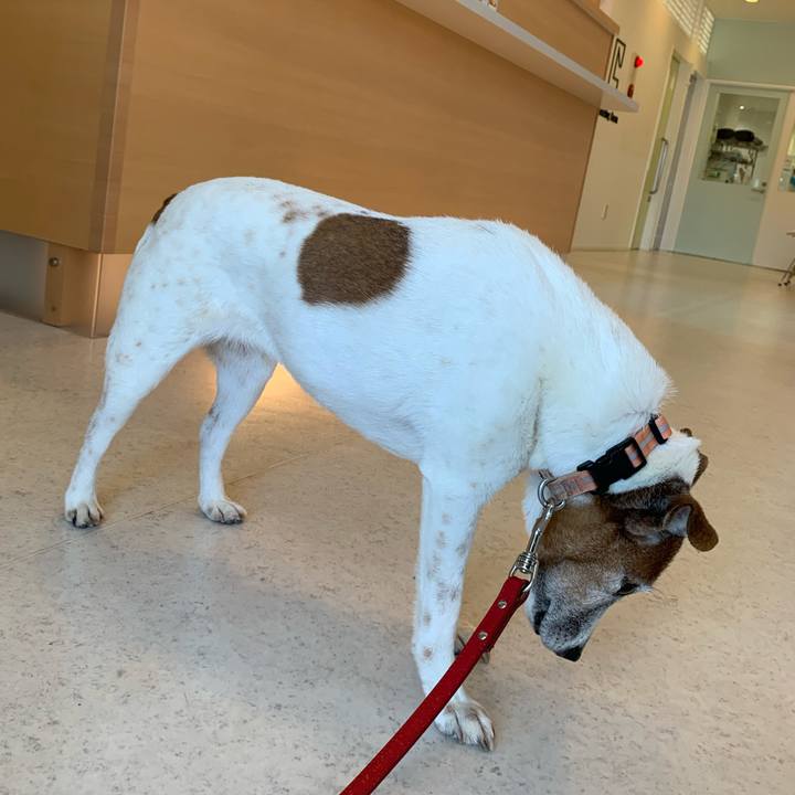 A3d6ba54 ac35 4ae7 b004 d431df367320 1614944235037