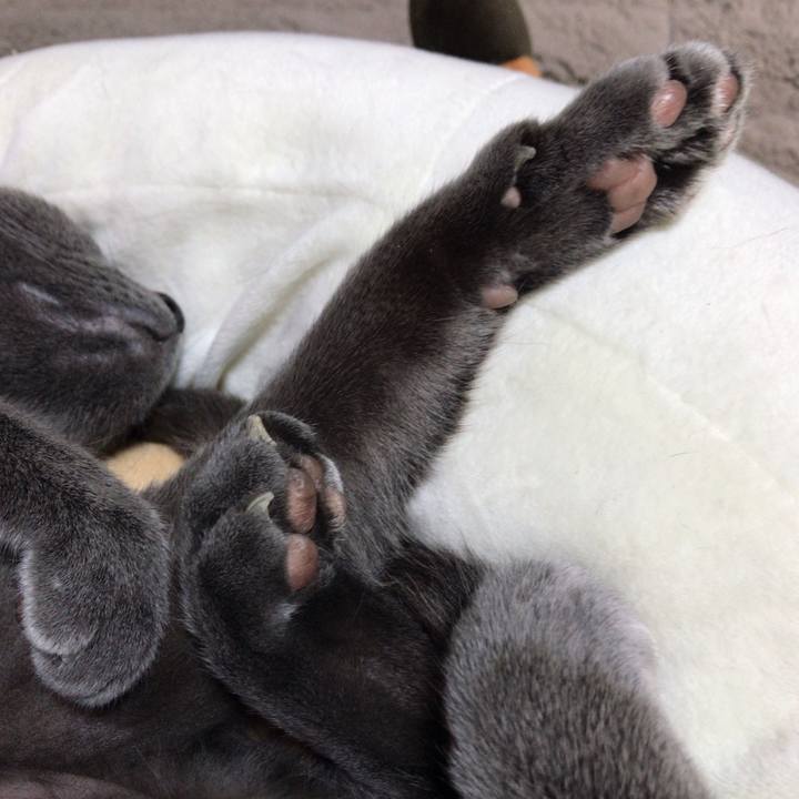 A3d6f10c 3b06 4823 b7c1 299cf45cccd6 1553167899797