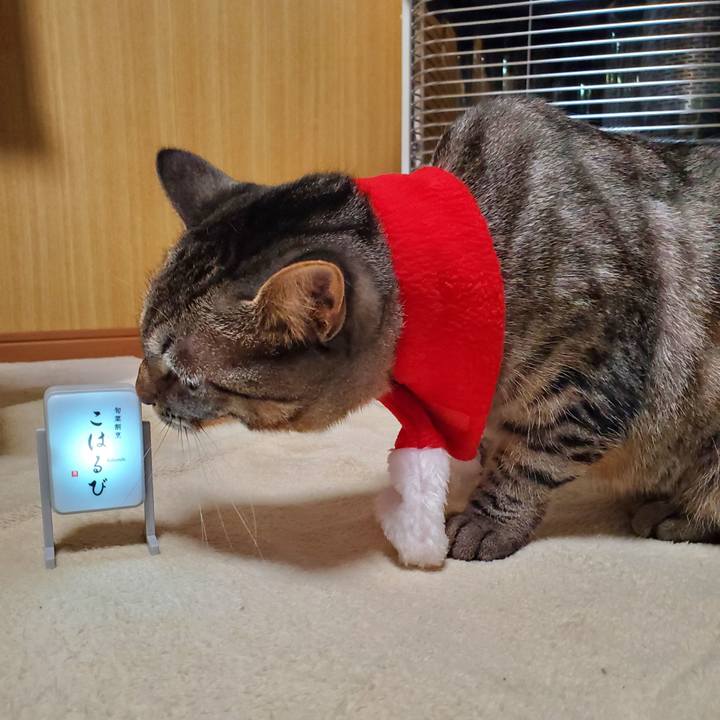 A3d702e1 f5f2 48ed bf38 2dd5c02e35b9 1700916589858