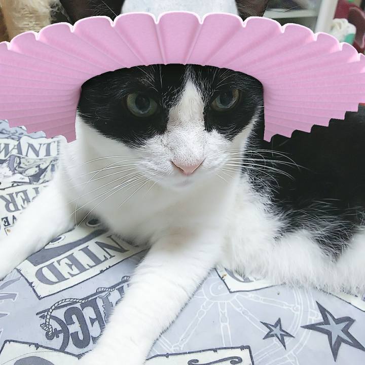 A3d74bc7 c84e 40fb b0f0 6f1255d23153 1569503925641