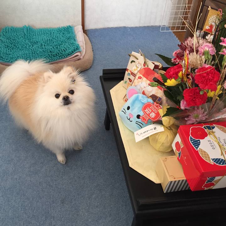 A3d77053 afa6 494a a902 70c9a792e488 1577942470269