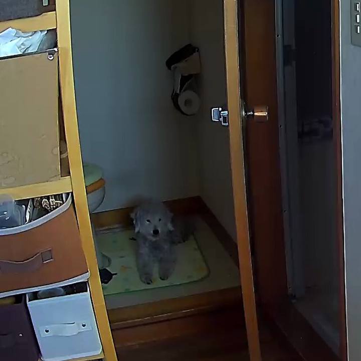 A3d774bf 3bc4 46b5 829e 168483a38433 1597119105099