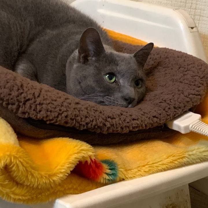 A3d78529 ab01 42d5 a563 29a6d70cc5de 1585530199229