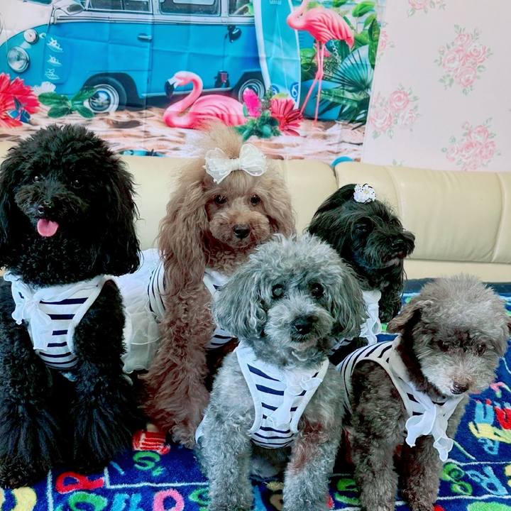 A3d7c66a 909a 4837 9633 865123da0b19 1753051512093