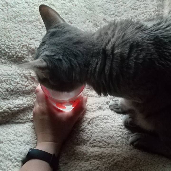 A3d7e18d 85ad 4c09 990d f19dab67a976 1685657901639