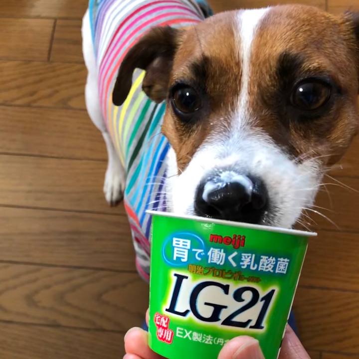 A3d7e4ba f0d2 45ff 8aa5 688ad28c0822 1569890927736