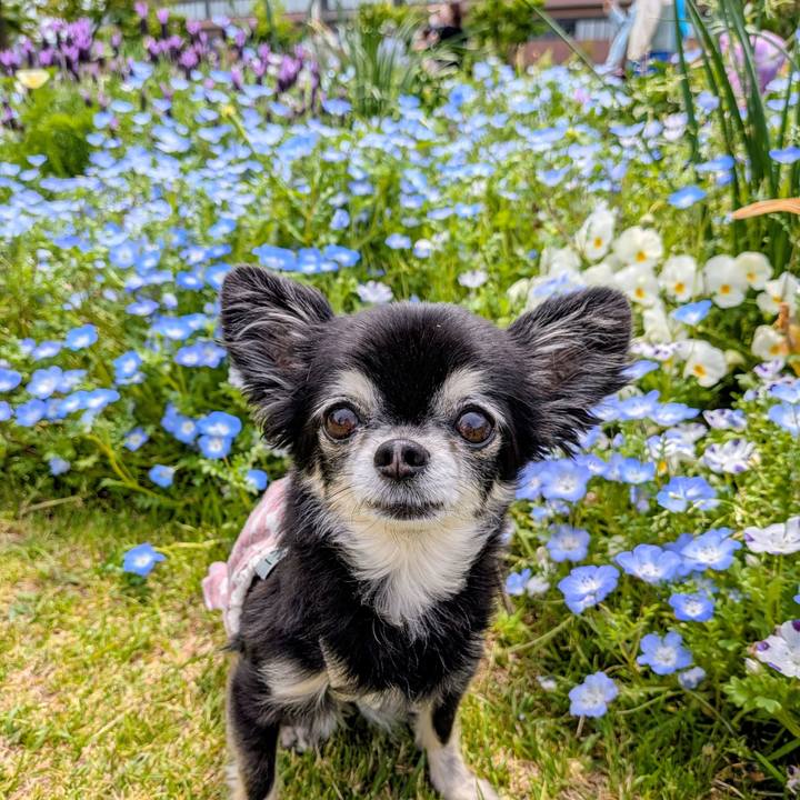 A3d7f726 ee3d 43e2 928b 08aa2a7b21fb 1776515948815