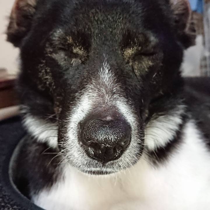 A3d809c6 706c 4f99 94b8 7e971ccb8d1a 1523625299573