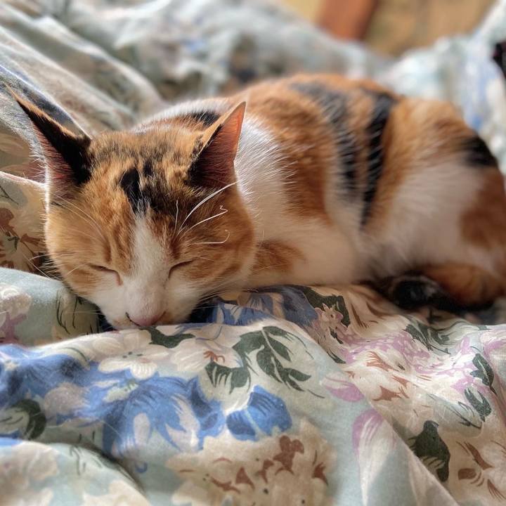 A3d80e19 e0fd 4486 994a 9bea792966f2 1649054943888