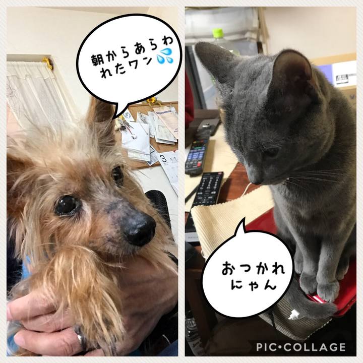 A3d81964 233f 492a 800d eb7879df9f6d 1520824938088