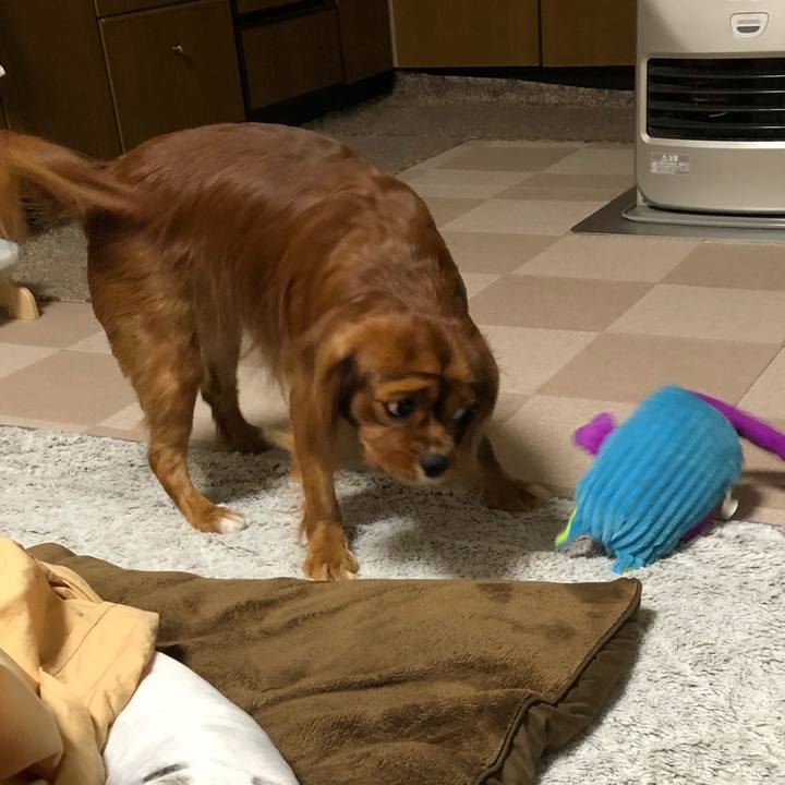 A3d833ef 3c65 4608 b0d5 42db693e3f80 1576016752279