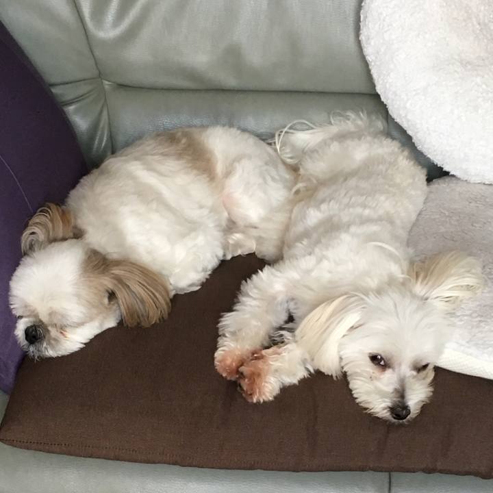 A3d85721 8c3d 4266 8533 6d7465fb2835 1533357123504