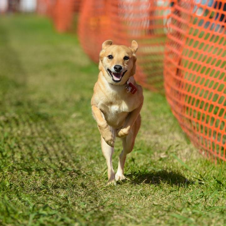 A3d8576c 4619 44e2 afbe 6f44d3eacac4 1540607717313