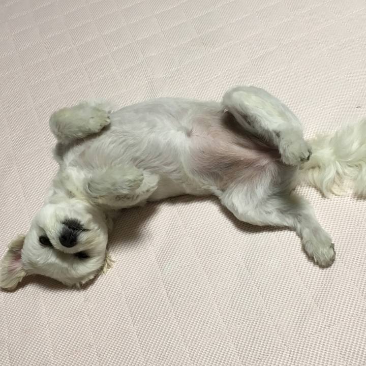 A3d866e6 0360 480e 9a56 bed41fd0188f 1564665831439