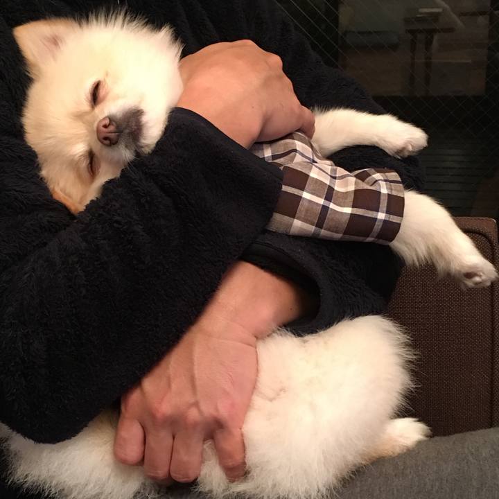 A3d88d4c 64b0 4608 8b9c 6d494cbd2464 1544356180318