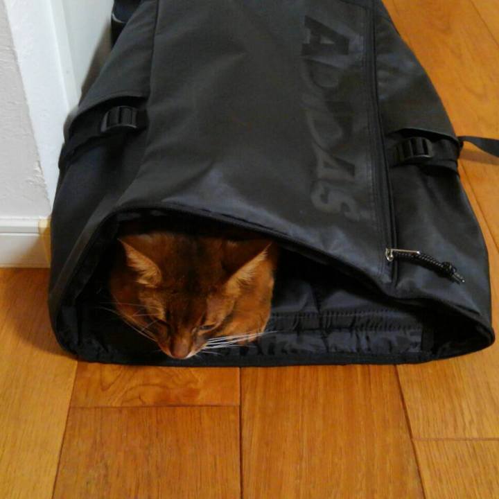 A3d8e2ee b0b0 4381 b21a 0bf104828b63 1630642649788