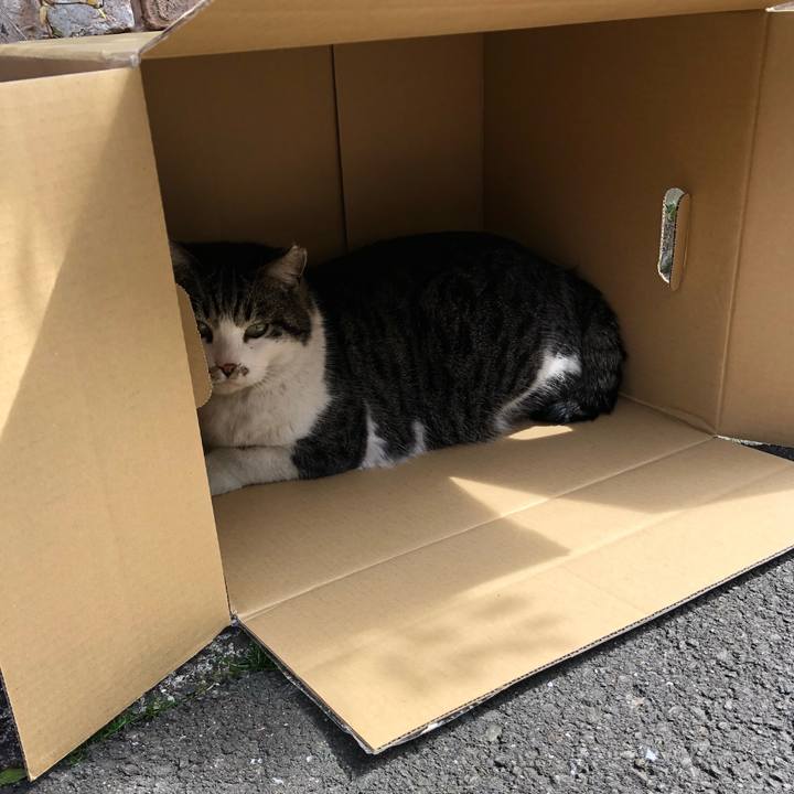 A3d8e5e1 7eec 4fdb 893d c9b100e98038 1521089585749