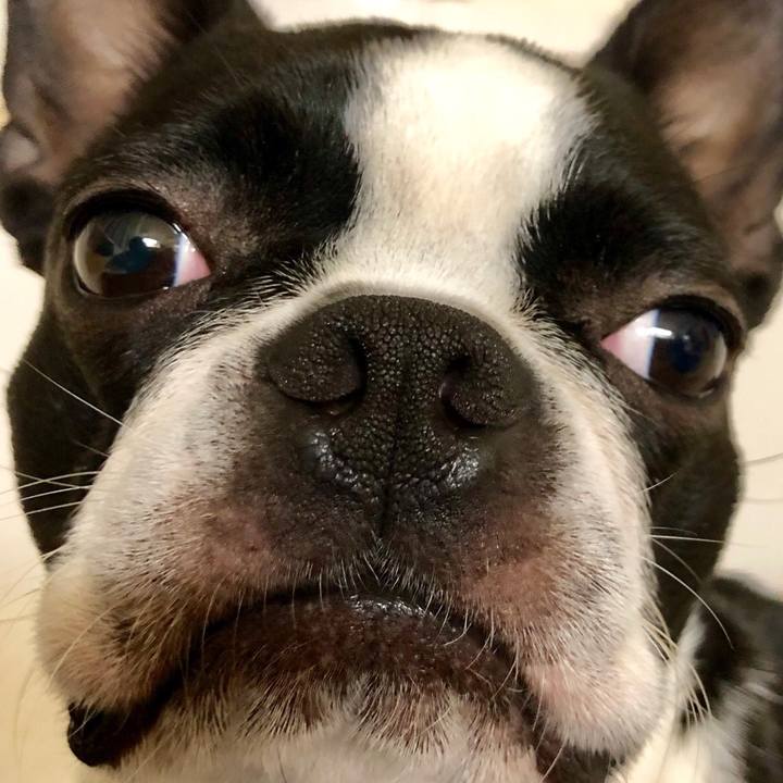 A3d8f342 569b 4b38 8514 e89ad2884517 1527244694473