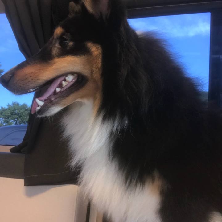 A3d8f61c f1d8 4c4a 8a0d cb34f2476847 1529790884777