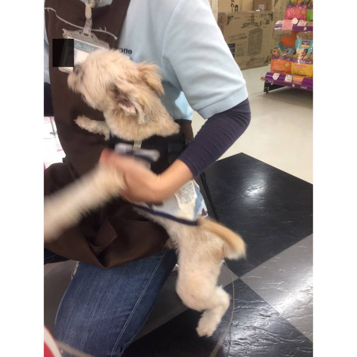 A3d8fadd b2fa 4eb8 814b 24e3541a9622 1541838020367