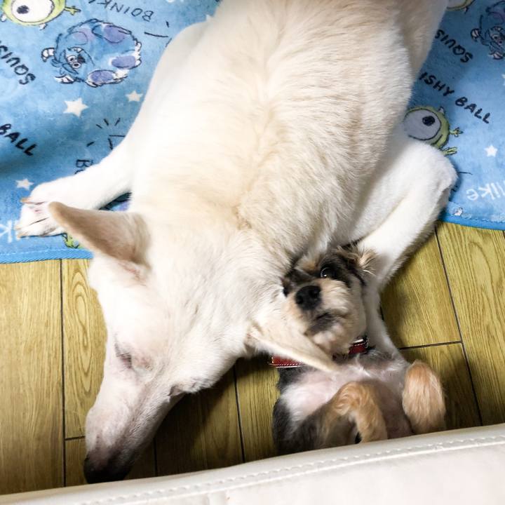 A3d90d18 da20 49fa b93f 2f610b0752a4 1565440062505