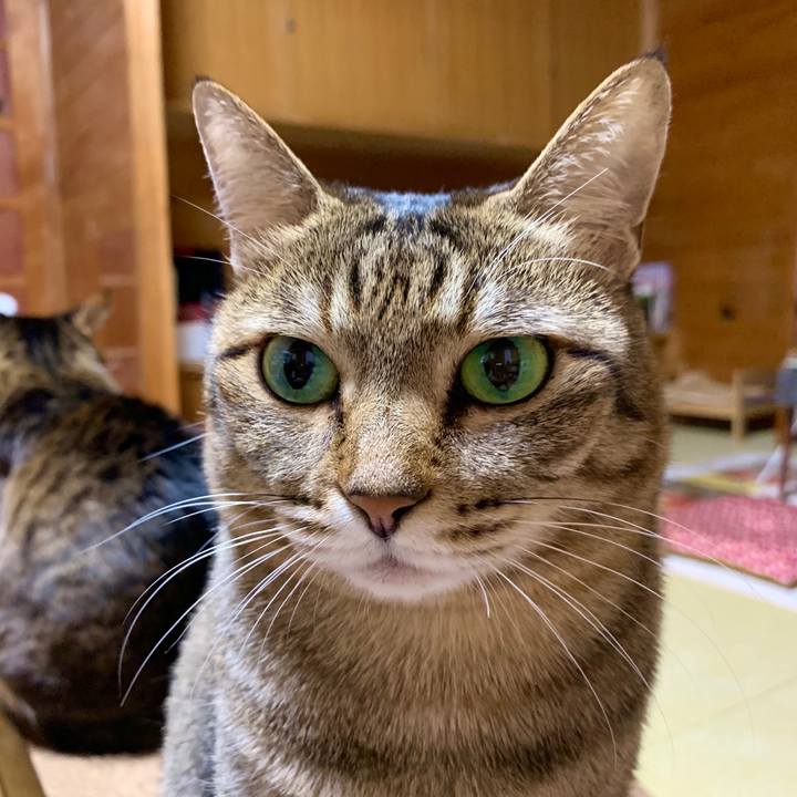 A3d92254 eb41 43d8 bf47 b8079fb624e9 1587819765706