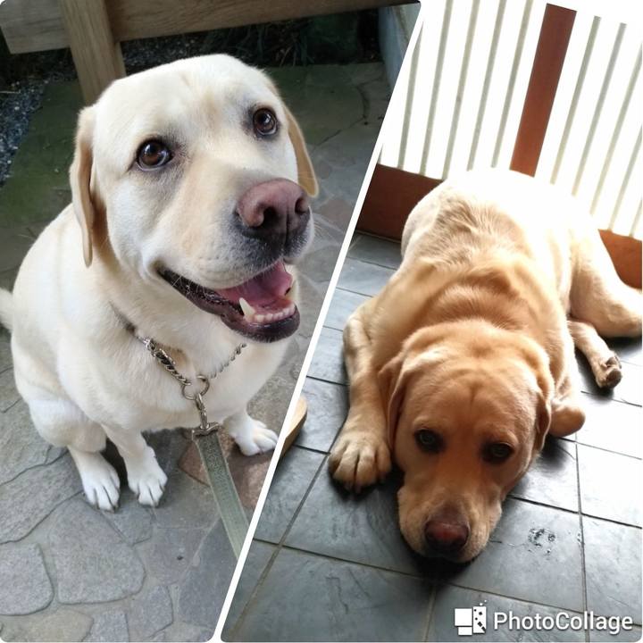 A3d96723 cb2f 4bcb b66b 89e366967b0c 1569119397167