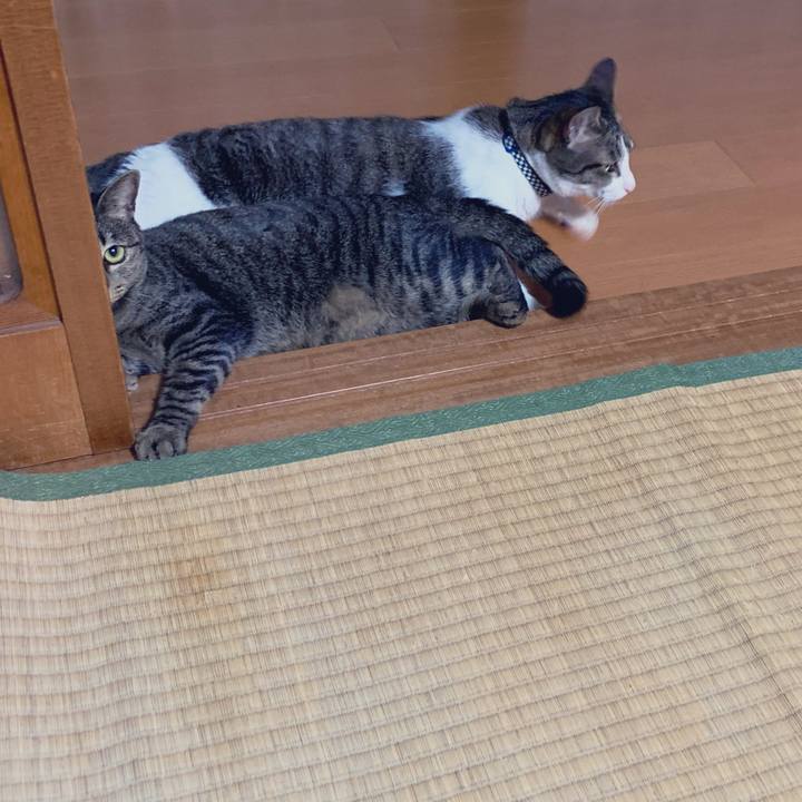 A3d9833a 10f5 4124 a56a 78aa5dcb0813 1565353974893