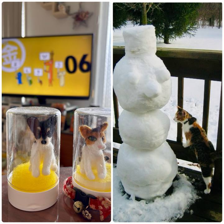 A3d9ced1 fec0 4530 9eec 2c94191c7bc7 1752791275798