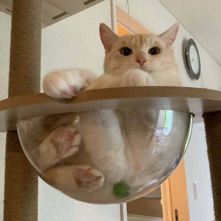 A3d9f84d 60de 42dd a486 171cd7a22b05 1657063963386