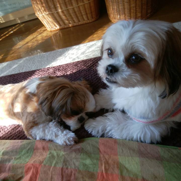 A3da0dc4 f39d 4448 80cd f93adb726139 1541118749097